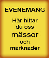 Evenemang
